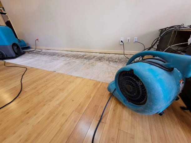Reliable Basement Flood Cleanup contractor in Springfield, VA by Hirex Water Damage
