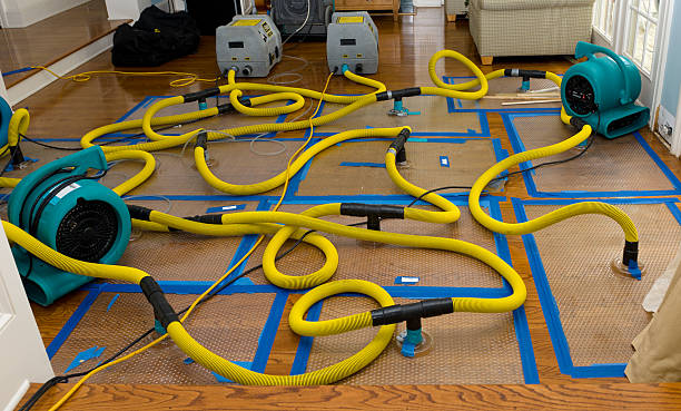 Professional Basement Flood Cleanup technician working in Springfield, VA